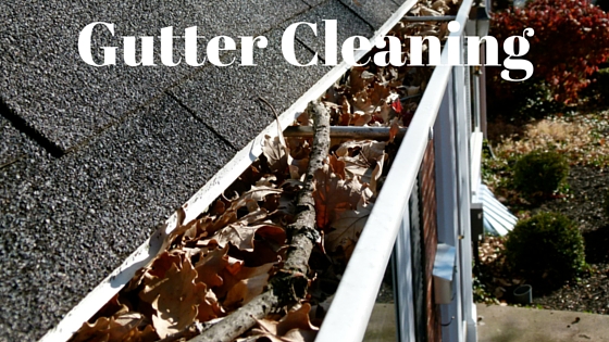 Gutter Cleaning (1)